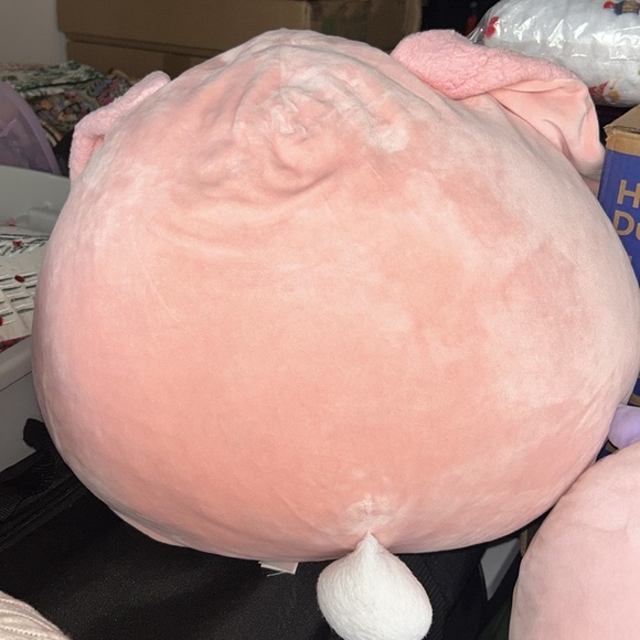 Bunny Squishmallow - Picture 2 of 3